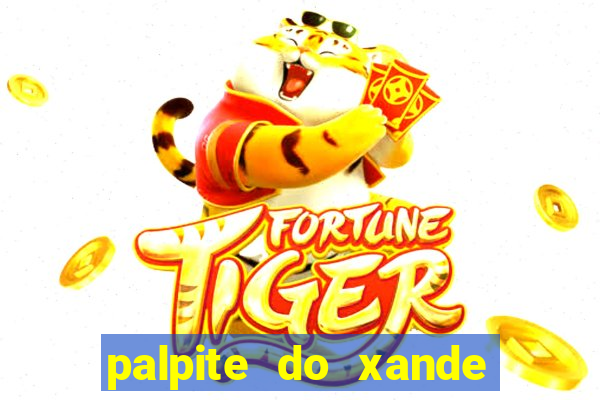 palpite do xande para hoje